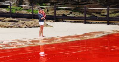 These Breathtaking Phenomena Are Definitely Not Normal, But They Do Exist.