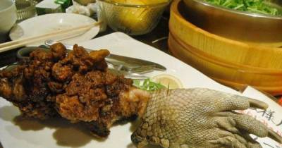 This Japanese Restaurant Serves The World&rsquo;s Most Outrageous Dishes