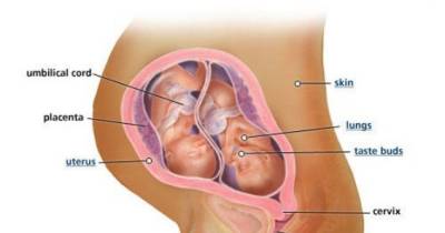 How To Get Pregnant With Twins That Are Girls!
