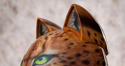 Cat Helmets With Ears From Russia