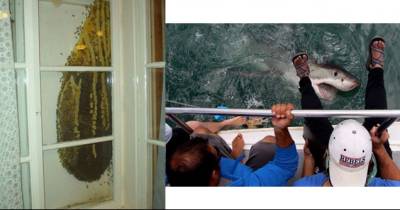 These Pictures Are Going To Make You Shout NOPE!