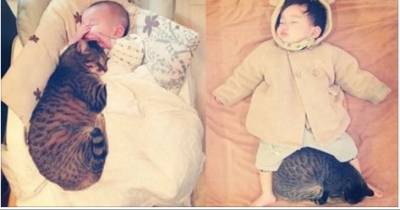 Tabby Cat And His Baby Brother Growing Up Together!