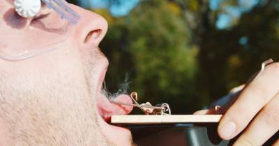 Slow Mo Guys Film A Tongue In A Mouse Trap