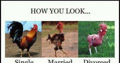 Hilarious Truths About Married Life