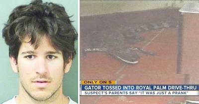 Florida Man Throws Gator Through Wendy&rsquo;s Drive Through