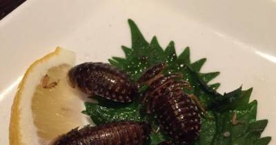6 Bizarre Meals On A Menu Served In A Restaurant In Japan