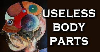 Totally Useless Organs
