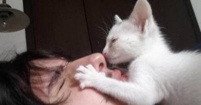 Man Saves Tiny Stray Kitten, She Can&rsquo;t Stop Thanking Him