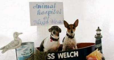 Animal Hospital Owners Arrested On Drug Trafficking Charges