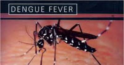 Hawaii: Mayor Of Big Island Declares State Of Emergency Due To Dengue Fever Outbreak