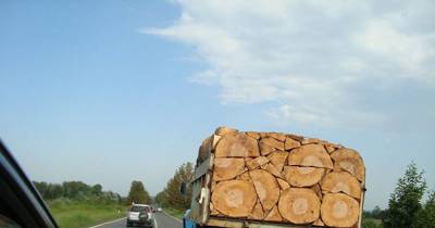 12 Pics Of Perfectionists At Work