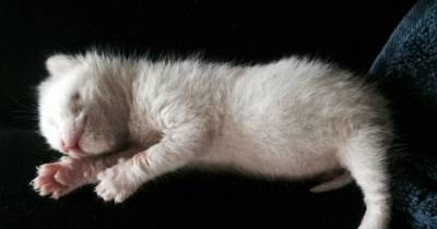 Ollie Was Left Outside A Store... And That&rsquo;s When One Woman Did Something Incredible.