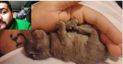 Man Finds Tiny Newborn Kitten Alone In the Rain