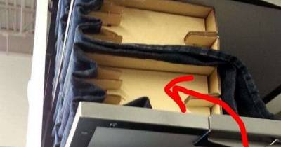 Please Tell Me Everyone Else Didn't Know These 19 Things Either. I Am in Disbelief!