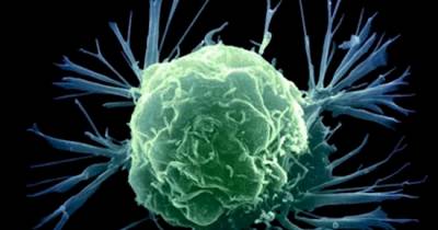 A Blood Test Could Soon Tell If You Have THESE Cancers