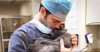 People Are Freaking Out About This Vet, When He Looks Up, You'll See Why