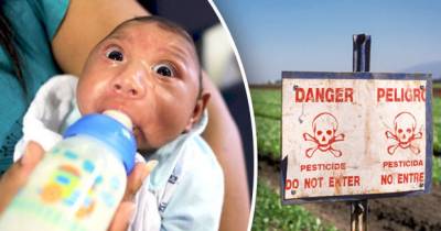 Zika Virus Not To Blame; Doctors Cite Man-Made Cause For Birth Defect Epidemic