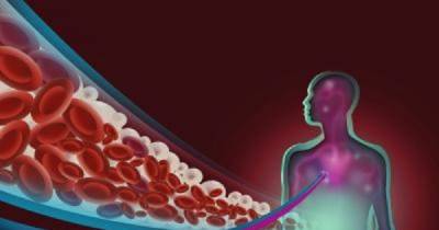 This Is What Your Blood Type Reveals About Your Personality
