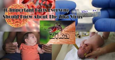 10 Important Facts Everyone Should Know About The Zika Virus