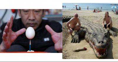 Impressive Pictures That Will Make You Scratch Your Head