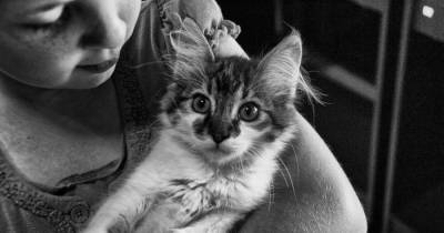 Children With Autism Can Become More Social With A Cat By Their Side