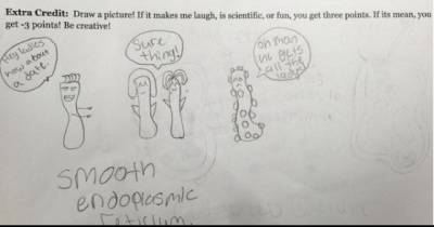 Hilarious Teachers Who Had Too Much Fun With Their Extra Credit Questions