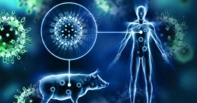 What Is Swine Flu? (H1N1)