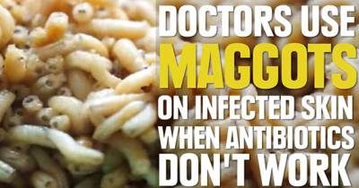Terrifying True Facts About Doctors And Dentists