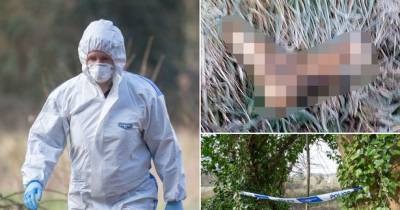Horrified Couple Find Severed Human Foot While Walking Dog In Park