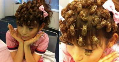 These Are The Weirdest Things To Ever Happen In Japan