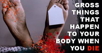 Things That Happen To Your Body After You DIE