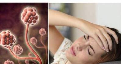 Do You Suffer From Headaches And Constant Hunger? The Real Reason Will Shock You!