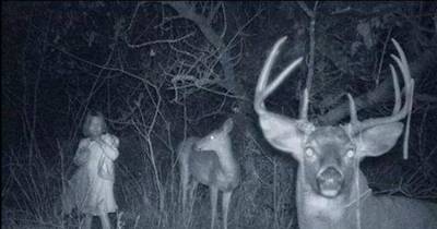 What These Night Cams Captured Will Haunt Your Dreams