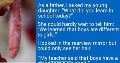 This Little Girl Learned A Valuable Lesson. When She Told Her Dad, He Was Speechless!