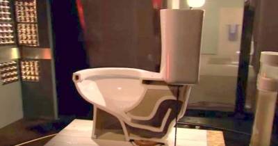 They Cut A Toilet In Half. What They Found Inside Was HORRIFYING
