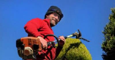 Neighbours Aren't Happy About This Man's 18ft Tree Sculpture