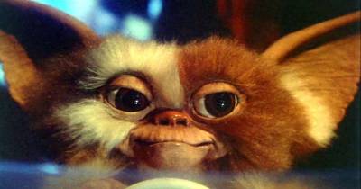 Gremlins: Don't Read This After Midnight