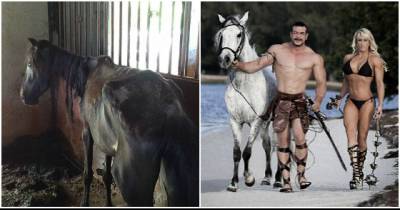 Bodybuilders Charged With Animal Abuse For Starving Their Horses