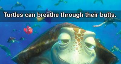 Prepare To Have Your Mind Blown By These Facts.