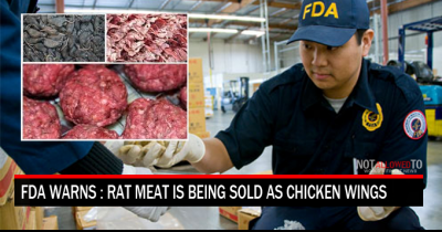 FDA Warns Over 1 Million Pounds Of Rat Meat Sold As Chicken Wings