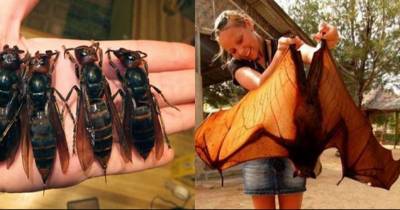 Bewildering Images That Will Make You Stay Indoors