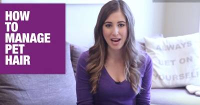 Is Pet Hair Stuck To Your Clothes Even After You Wash Them? Try These Brilliant Tricks!