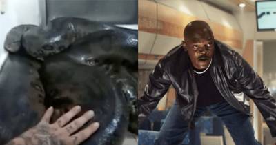 OMG! This Idiot Found A Giant Anaconda In His House And Actually Decided To Touch It