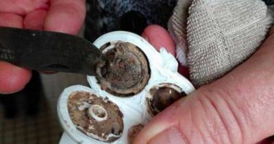 There's A Terrifying Amount Of Mold In Sippy Cups And It Could Be Making Kids Sick