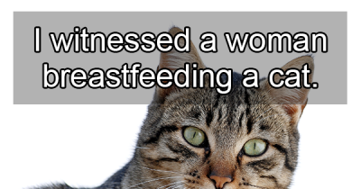 Flight Attendants Share The Craziest Stuff They Have Seen While Traveling