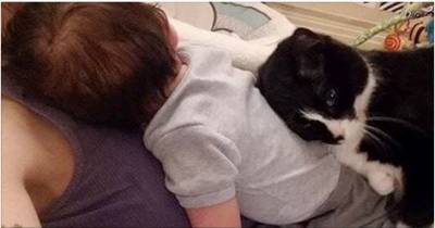 Cat Kept Baby Safe For 9 Months Inside The Belly And Now Does The Same Outside