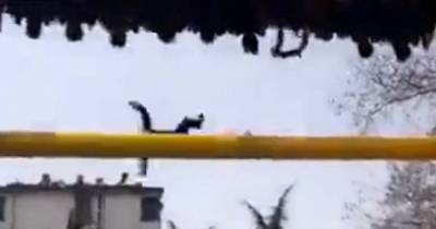 Shocking Moment Man Is Thrown From Amusement Park Ride After Seat Belt Comes UNDONE