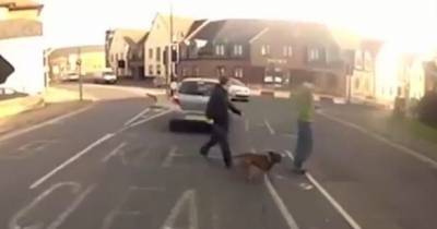 Footage Of Pedestrian Flung Down Road After Car Collision Goes Viral As Internet Argues About Blame