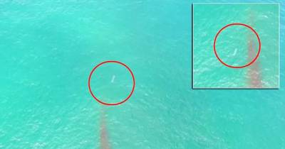 Mysterious Object Spotted In Pacific Ocean Could Be A UFO