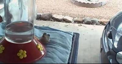 He Put A Heating Pad In His Garage. 8 Hours Later, He Never Expects To Find This...